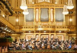 最新爆料维也纳视频播放,最新爆料背后的惊人真相